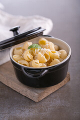 pasta cooked in a casserole