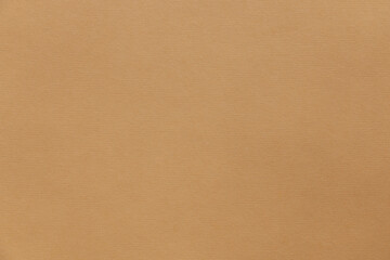 Craft Paper or Cardboard Vintage Texture. Grunge background
