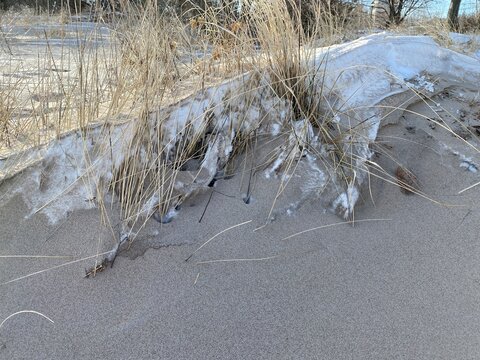 รูปภาพAmmophila เลือกดูภาพถ่ายสต็อก เวกเตอร์ และวิดีโอ18,629 Adobe