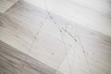 Laminate Floor Surface Scratch