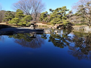 Obraz premium japanese gardens trees water reflection