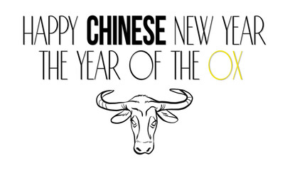 Chinese New Year 2021 of the Ox celebration banner, festive bull illustration on white isolated background