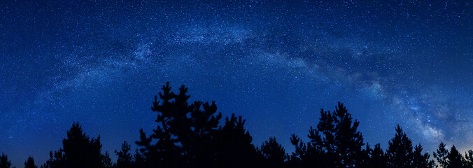 Milky Way landscape panorama. Panoramic view of the arch of the Milky Way on a starry dark night....