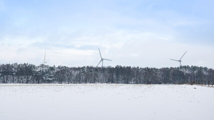 Drei Windräder im Winter hinter einem verschneiten Wald