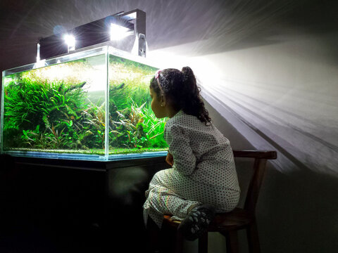 Girl admiring aquarium in his house at night