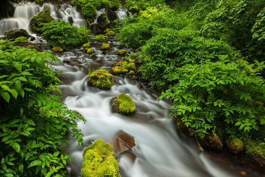 78,800 件の最適な 京極 画像、ストック写真、ベクター Adobe Stock