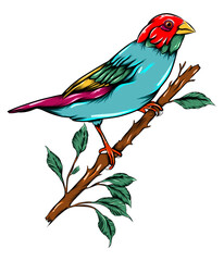 The colored of the bird perching on the branch of the tree