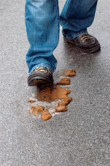 pollution on the street by dog excrement