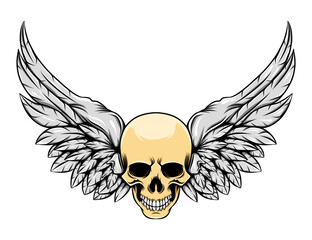 The tattoos inspiration of the glossy head skull with the angel wings