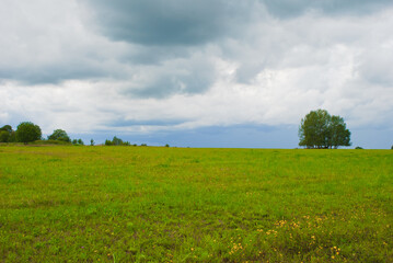 summer meadow on the background of the sky with clouds