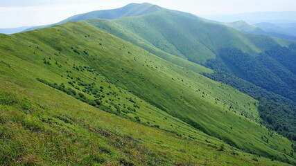 bright green slopes of the mountain range are covered with fresh green grass, alpine bushes, and forest in spring and summer. mountain landscape