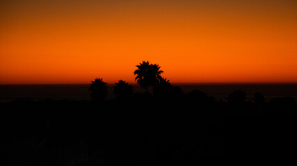 Fototapeta na wymiar Arroyo Grande California Sunset Palm Trees