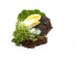 Lettuce is isolated on a white background