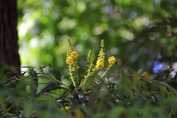 四谷三丁目公園１