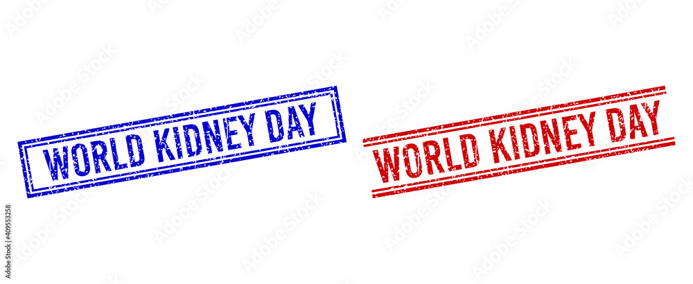 Poster world kidney day rubber overlays with grunge style. vectors designed with double lines, in blue and 