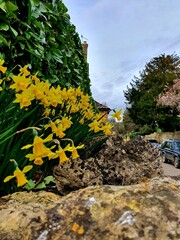 rocks in the mountains