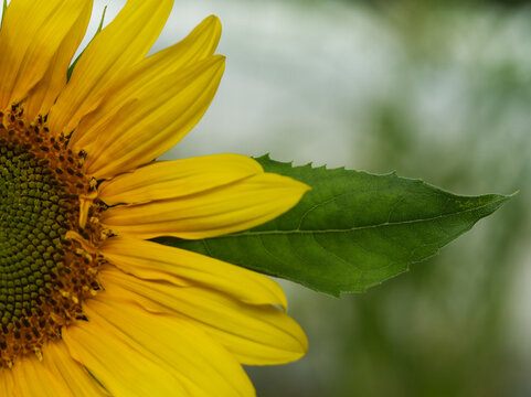 OLYMPUS OMD EM-5 DIGITAL CAMERA