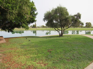 A park with a large man-made water reservoir and a golf course in the distance with people practicing located in Arizona