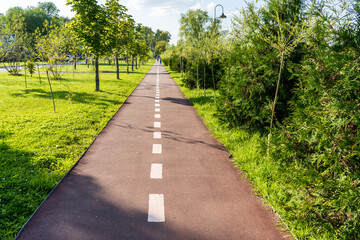 Fototapeta na wymiar Straight asphalt path in a city park with a white dividing strip
