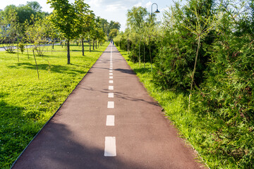 Straight asphalt path in a city park with a white dividing strip