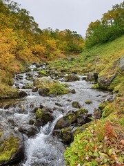 waterfall in the forest
