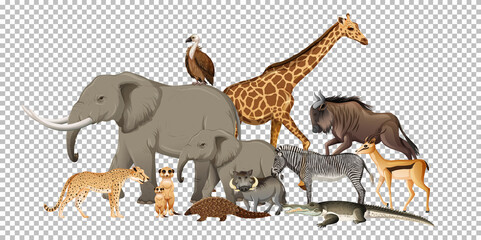 Group of wild african animal on transparent background