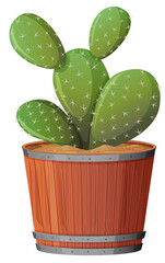 Prickly Pear Cactus in a wooden pot on white background