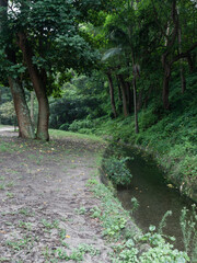 Small creek and greeneries around it.