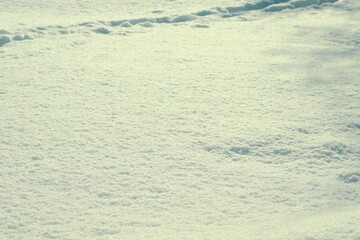 Fototapeta na wymiar 雪に覆われた大地