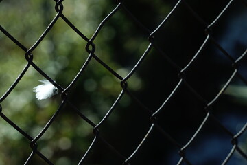 mesh fence