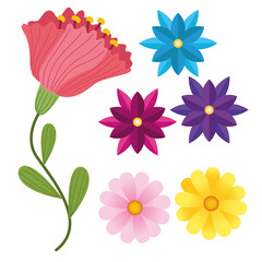 bundle of six flowers colors icons