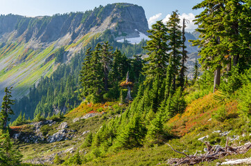 Fototapeta na wymiar Majestic mountains in Bagley Lake Park, Mount Baker, Washington, USA.