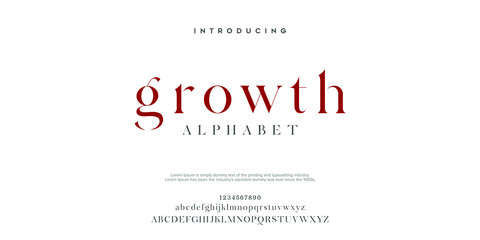 Serif classic design font vector illustration of alphabet letters.