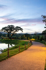 Wide pedestrian walkway and single acacia tree by pond in lush park with beautiful dramatic sky above after sunset - Pampanga, Luzon, Philippines	