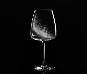empty wine glass with a white feather on a black background