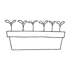 sprouts in a seedling box icon, sticker. sketch hand drawn doodle style. vector monochrome minimalism. spring, plant, horticulture, garden, ecology.
