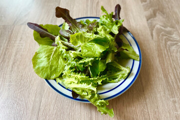 fresh green salad