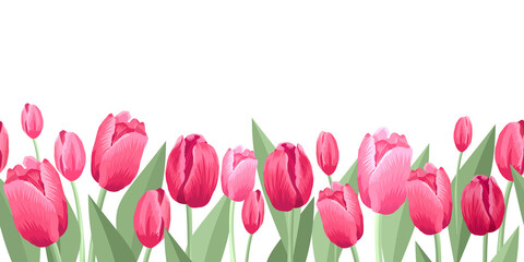 Seamless border of tulips flawers. Vector illustration, background, pattern, print for packaging paper, postcards, textiles. Colorful pink tulips with leaves, a frame, garland of flowers.