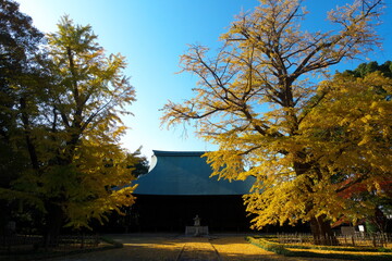 秋のお寺と銀杏