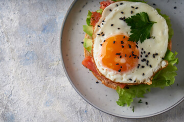 Tasty homemade sandwich with salmon , fried egg ,herbs and avocado