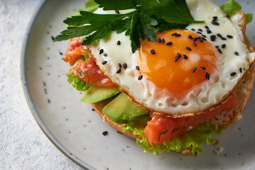 Tasty homemade sandwich with salmon , fried egg ,herbs and avocado