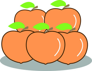                                                                                                              Peach vector illustration On a white background                                            