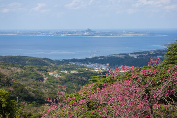 八重岳から望む伊江島
