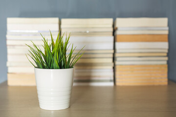 small plant decoration front Blur Book Stack Background on desk