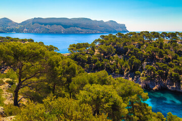 Obraz premium Calanques de Port Pin bay in Cassis near Marseille, France