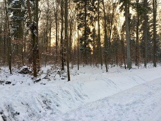 Zima 2021 Kielce , Góra Telegraf , Kielce ,Stok pod Telegrafem , Kielce  2021 , Telegraf Zima . Góra pod Telegrafem , Bukówka Kielc, szlak w Kielcach ,Stok w Kielcach , 2021 Kielce Zima  .zima, śnieg,