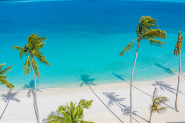 Aerial paradise scenery. Tropical aerial landscape, seascape with palm leaves shadows amazing sea...