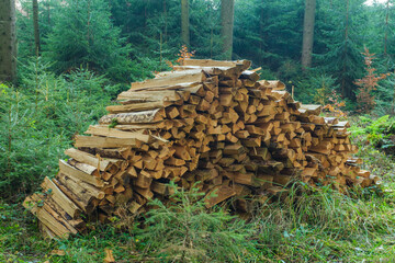 Holzwirtschaft: Gestapeltes Brennholz / Meterholz im sommerlichen Wald - im Hintergrund kleine und...