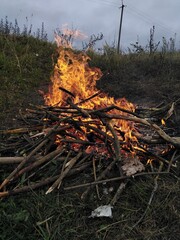 fire in the forest