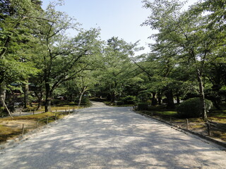 日本の庭の風景